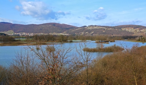 TEMENICA IN GLINOKOPI V ZALOGU