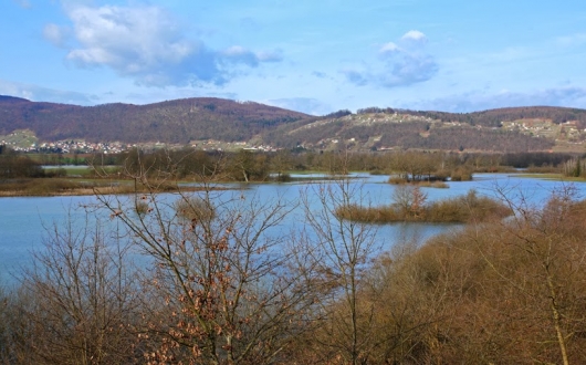 TEMENICA IN GLINOKOPI V ZALOGU