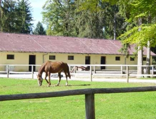 Equestrian Club