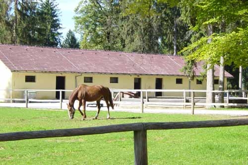 Equestrian Club