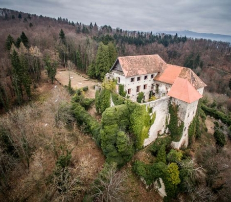 Dvorac Hmeljnik