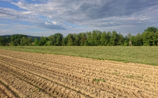 ZLATOVRANA